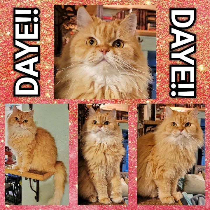 Read more about the article DAYE!!