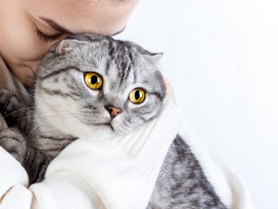 Young beautiful woman with fluffy cat at home.